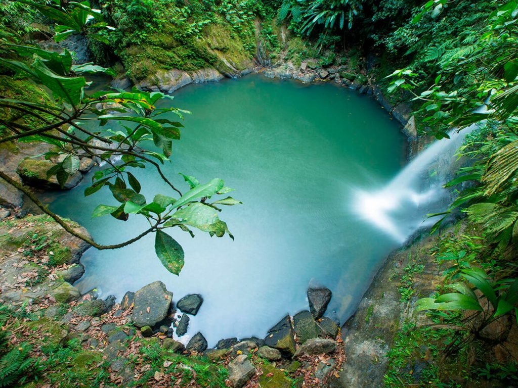 Carpishuyacu y Termales San José